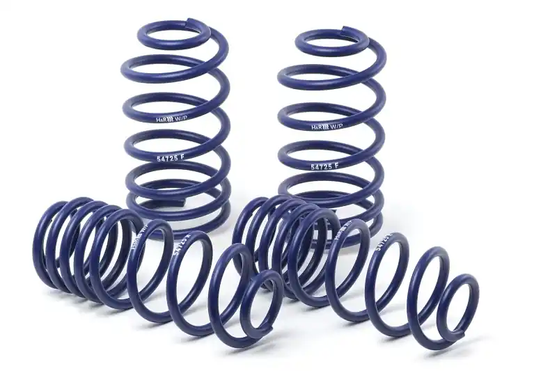 Cheap H&R 00-05 Ford Focus/Focus SVT DAW Race Spring (Non Wagon)